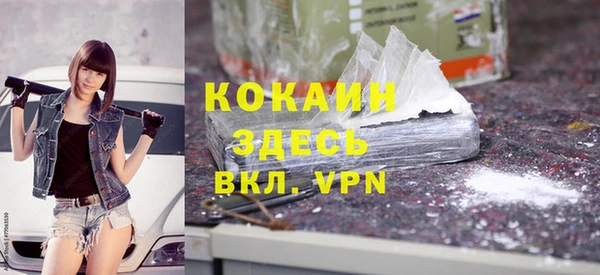 крисы Алзамай
