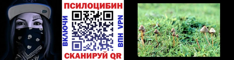 Галлюциногенные грибы Cubensis Лагань